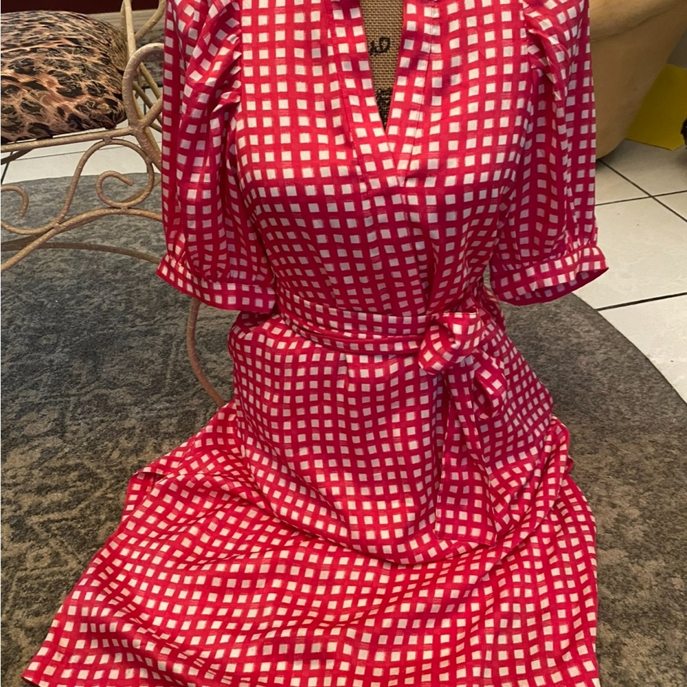 Ann Taylor Red and White Gingham Dress - Picture 4 of 6